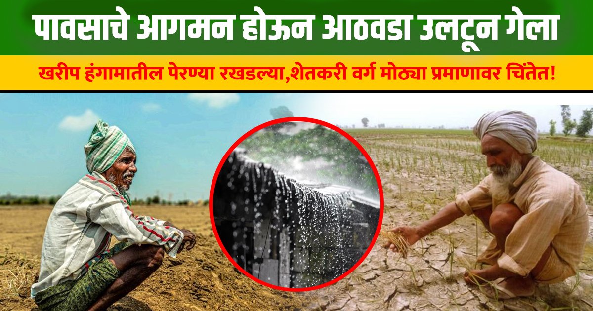 Kharif Season Crisis Maharashtra
