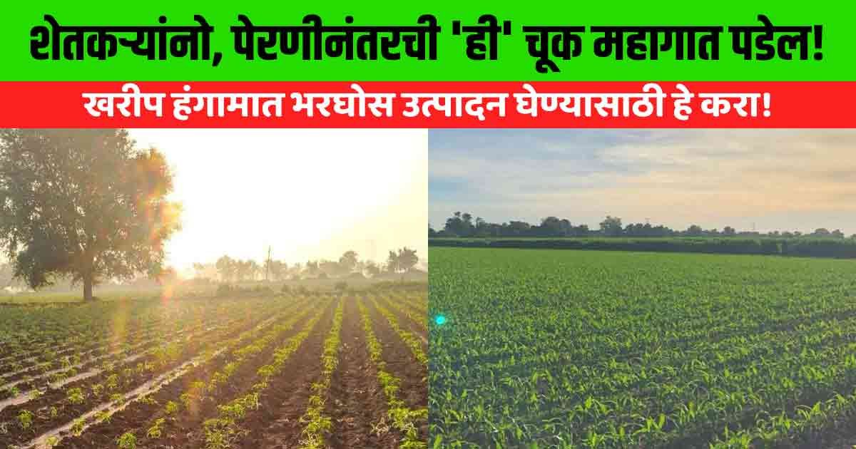 Kharif Season Sarming