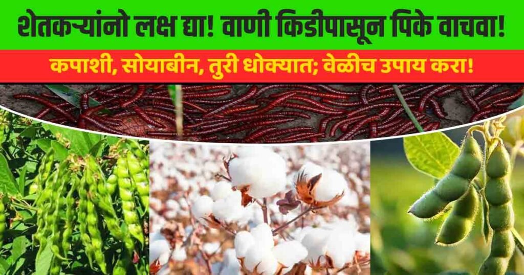 Vani Pest Control Methods